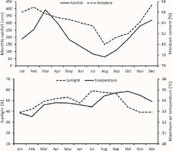 Average typical agroclimatic conditions during 2013-2022 in the
                            research location at the lowland tropics (Palembang, South Sumatra,
                            Indonesia).