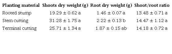 Effects of planting materials on shoot and root dry weight of
                            Alternanthera sissoo.
