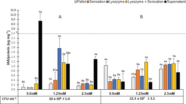 Quantitative results for IAA production and bacterial growth in
                            different inoculant fractions. The homemade formulation is depicted as
                            A, and the commercial formulation as B. Media followed by the same
                            capital letter (treatments in the same formulation) and lowercase letter
                            (homemade and commercial formulations) in the column did not differ
                            significantly by the Tukey test (p > 0.05). The dotted line
                            highlighted by “*” marks a breakpoint in scale to improve the data
                            visualization.