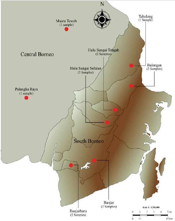 Map of sampling location, where 15 samples of
                                Mangifera were collected, including South and
                            Central Kalimantan (Borneo), Indonesia. See Table 1 for detailed information on sample
                            identity.
