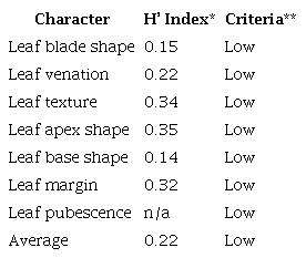 Shannon diversity index of Mangifera leaf
                        characteristics.