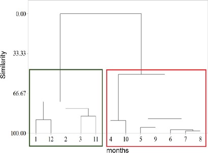 Dendogram of the separation of months by similarity in 50 % of the Euclidean distance.
       Period 1: November (11), December (12), January (1), February (2) and March (3); period 2:
       April (4), May (5), June (6), July (7), August (8), September (9) and October (10).