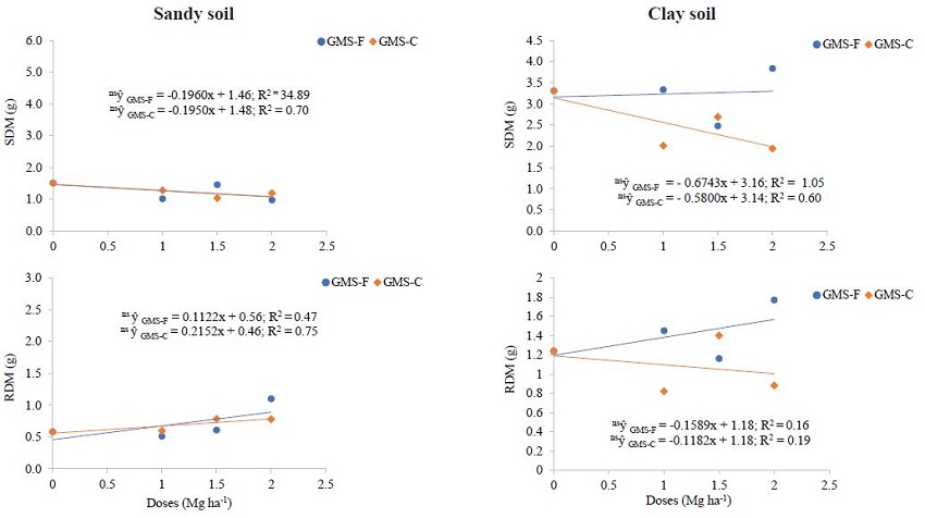 Doses of fresh (GMS-F) and calcined (GMS-C) golden mussel shell for
                            shoot dry mass (SDM) and root dry mass (RDM) of rice plants in sandy and
                            clay soils. ns Not significant.