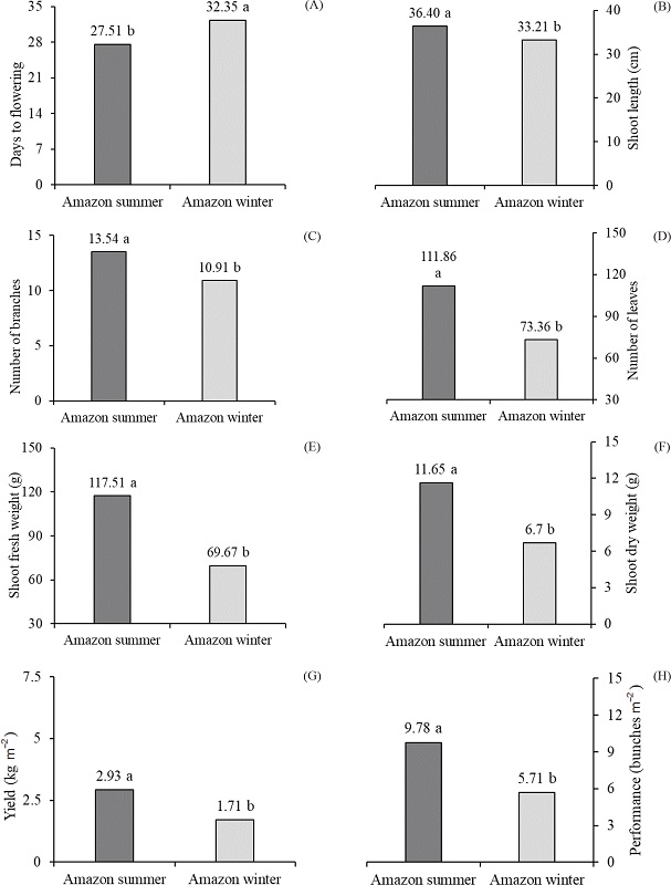 Comparative average values for the variables days to flowering (A),
							shoot length (B), number of branches (C), number of leaves (D), shoot
							fresh weight (E), shoot dry weight (F), yield (G) and performance (H)
							for the yellow and purple flower jambu varieties grown in the Amazon
							winter and summer.