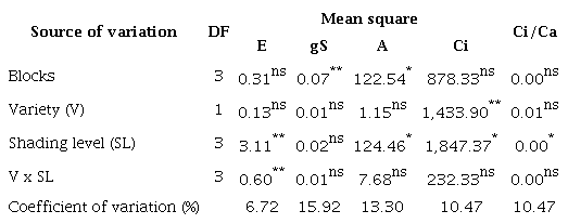 Summary of Anova for the physiological data on the factors variety and
						shading level during the Amazon summer.