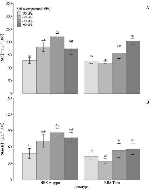 Effects of soil water potential on leaf total soluble carbohydrates
							(TSC; A) and starch content (B) in two chickpea genotypes. Uppercase
							letters represent significant differences between genotypes, and
							lower-case letters represent significant differences among soil water
							potentials by the Tukey test (p < 0.05). Means � SE (n = 5). DM: dry
							mass.