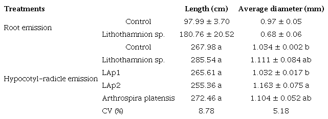 Average length (cm) and diameter (mm) of Vigna radiata
						roots and hypocotyl-radicle.