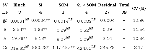 Summary of the analysis of variance based on mean square values for the
variables stomatal conductance (gs), transpiration
(E), CO2 assimilation rate
(A) and intercellular CO2 concentration
(Ci), in yellow passion fruit under different silicon
(Si) doses and soil organic matter (SOM) levels, at 210 days after
transplanting.