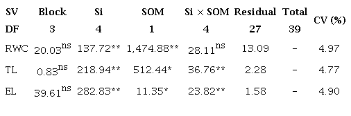 Analysis of variance summary, based on mean square values, for the
variables relative water content (RWC), leaf turgor loss (LTL) and
electrolyte leakage (EL) in yellow passion fruit under different soil
organic matter (SOM) levels and silicon (Si) doses, at 210 days after
transplanting.