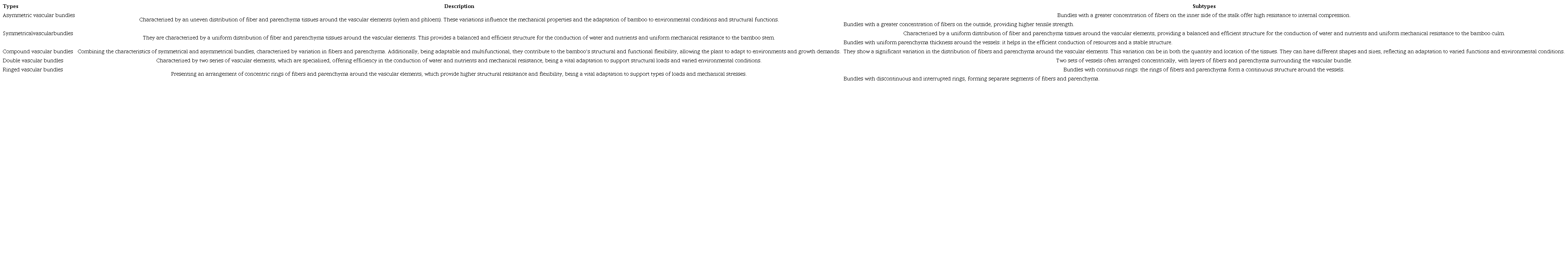 Current typology of basic vascular bundles classification.