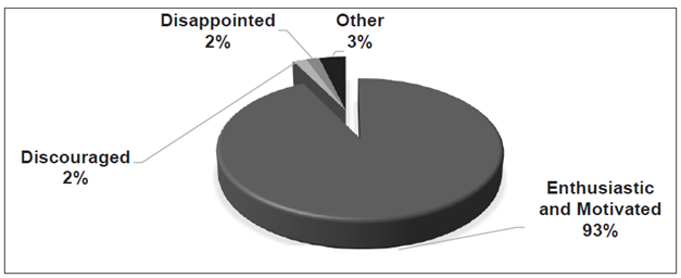 How did you feel towards the use of a VLE in your English classes?