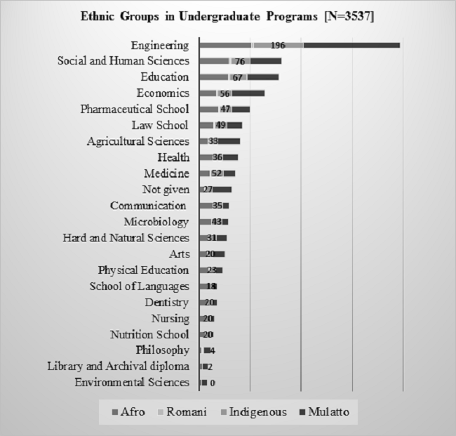 Ethnic Groups in Undergraduate Programs