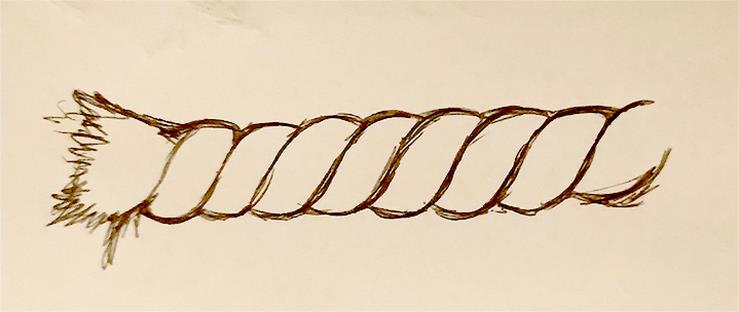 &ldquo;The Working Mechanism&rdquo;-A Drawing Illustrating In-Class Assessment [P1]