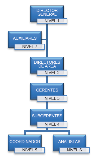 Ejemplificación del nivel jerárquico utilizado en la organización.