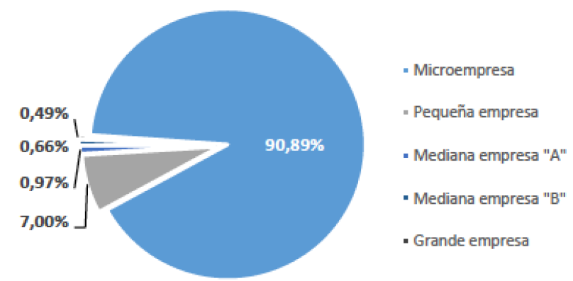 Distribucin del nmero de empresas segn su tamao.