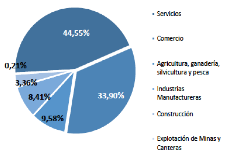 Distribucin del nmero de empresas segn secto res econmicos.