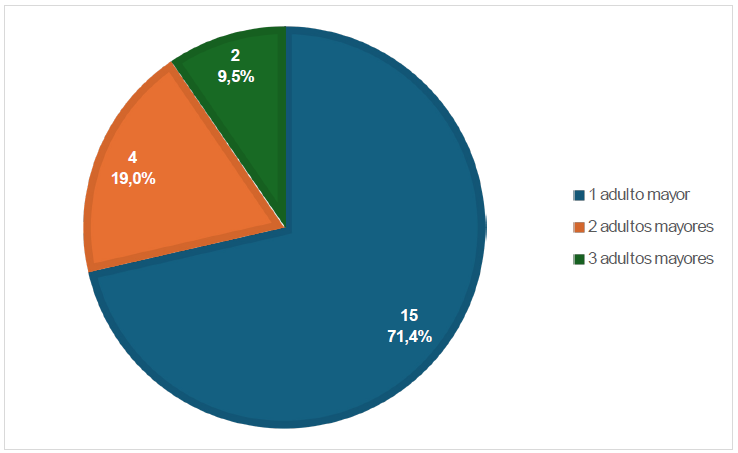 Adultos mayores en el hogar.