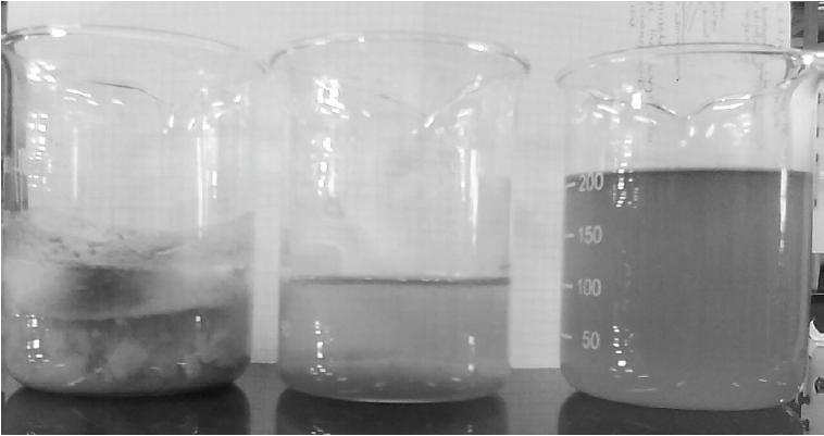 Estado de muestrasdespués del tratamiento, a 25 min (izq.) y 1 min (centro), comparadas con elagua de tintas original (der.)
