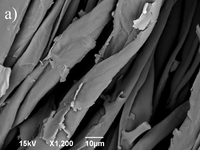  Imagen SEM de fibras de algodón: a) sin
tratamiento y b) con tratamiento