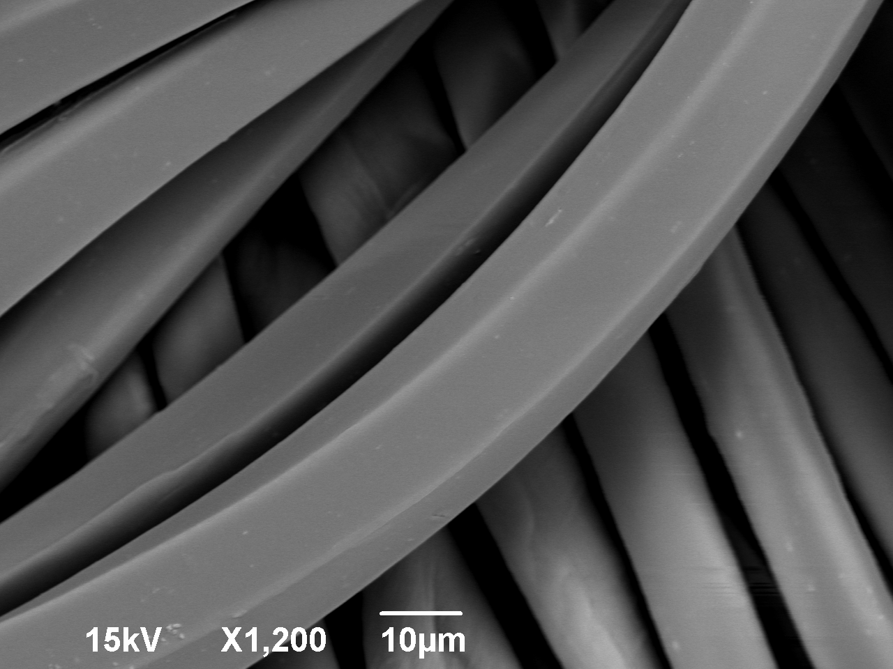 Imagen SEM de fibras de corteza de coco: a) sin
tratamiento y b) con tratamiento