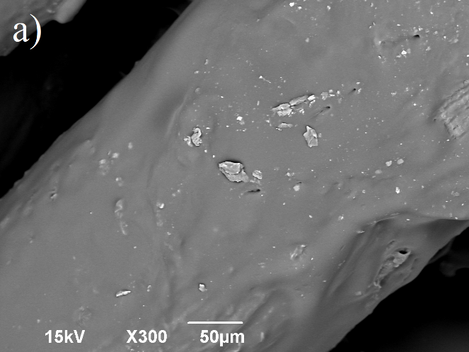 Imagen SEM de fibras de fique: a) sin tratamiento
y b) con tratamiento