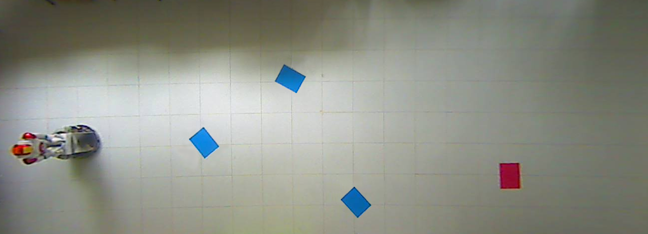 Region
of interest (ROI) selection