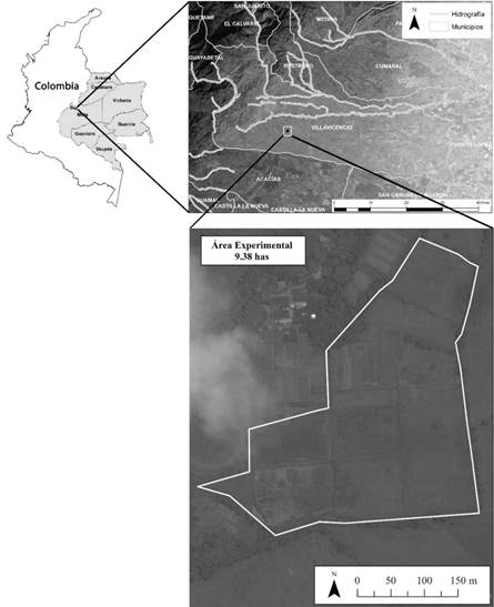 Localización del área experimental