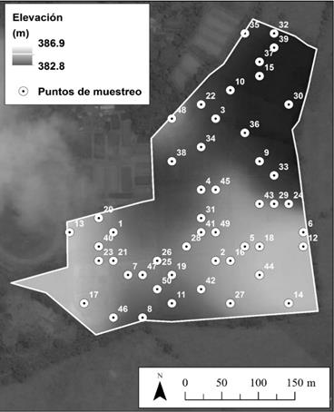 Distribución espacial de la elevación y los puntos de muestreo determinados a partir del algoritmo hipercubo latino condicionado (HCLc) 