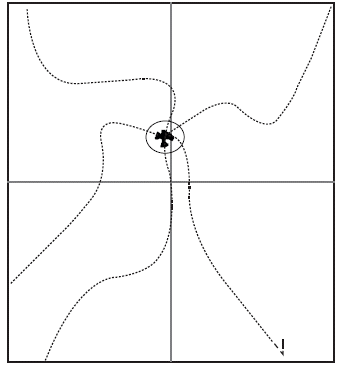 Patrón espacio temporal de agrupación