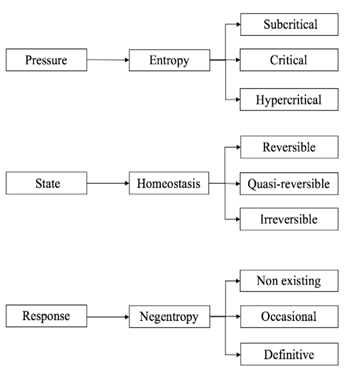 Estructura del modelo EHN