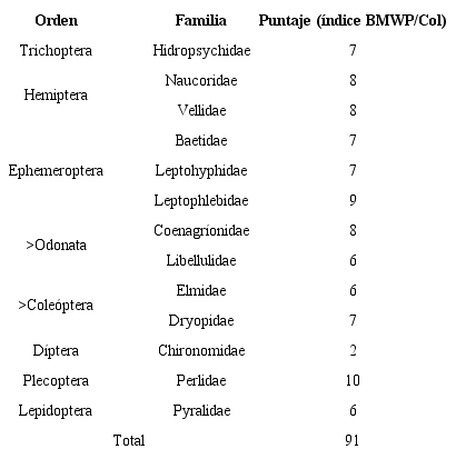 Macroinvertebrados E1