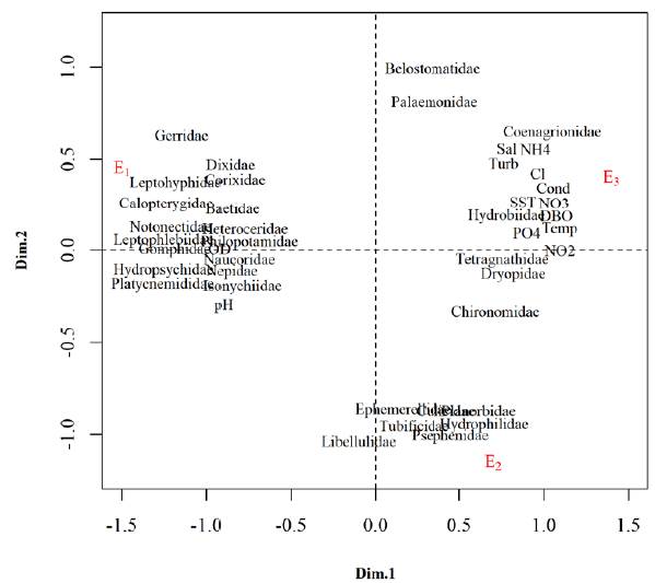 Asociaciones entre morfofamilias identificadas y las variables fisicoquímicas 