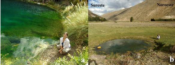 a) Acercamiento a dolina N.º 6 donde se puede apreciar la coloración turquesa debida al yeso en su fondo y verde debido a la vegetación. b) Vista frontal de dolina N.º 7 lagunita de La Niña Encantada