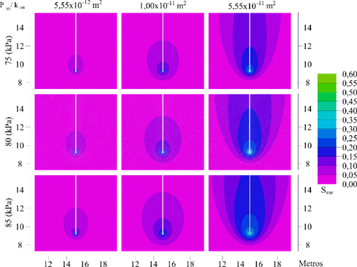 Isocontorno de Snw en función de Pnw, inj para t = 1800 s. Distancia en metros