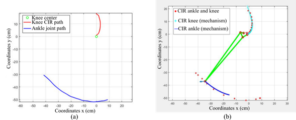 a) Curves described by the CIR of the knee and the ankle joint, b) optimal solution of the mechanism after the optimization process