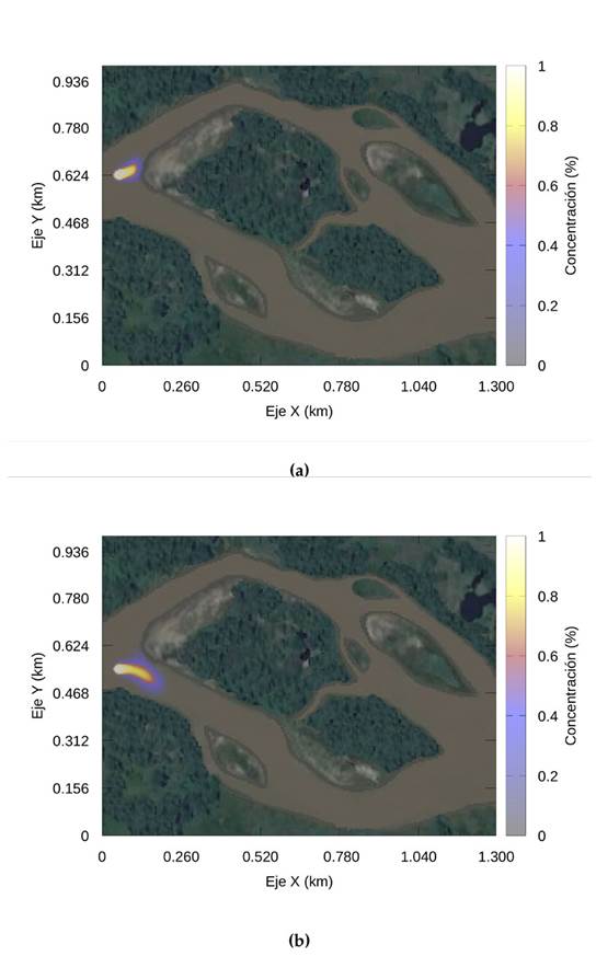 Distribución de la concentración (a)