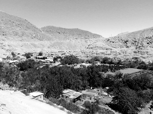 Valle de Codpa, comuna de Camarones, región de Arica y Parinacota.