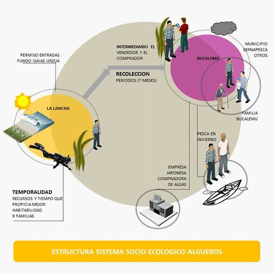 Esquema sistema socio ecol&oacute;gico.