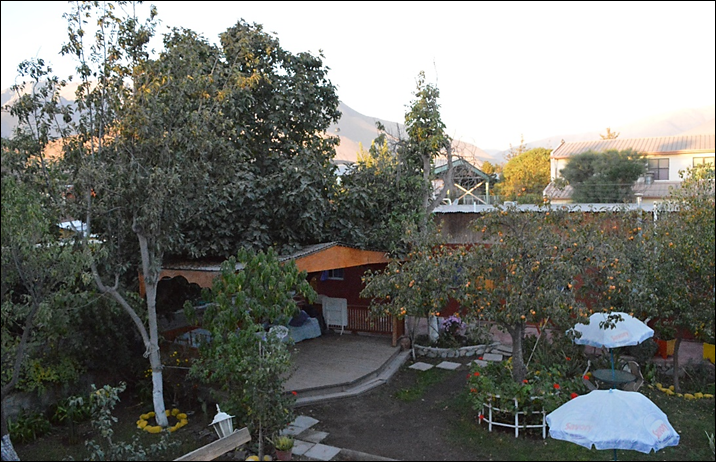 Un huerto urbano en un hostal del centro de la ciudad. Fuente: elaboraci&oacute;n propia.