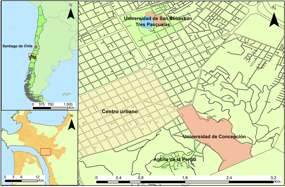 Location of the study cases. Source: Own elaboration.