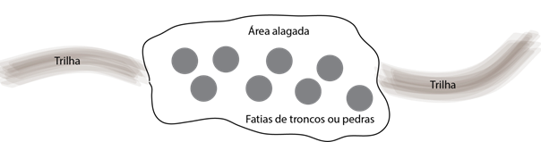 T&eacute;cnica
de manejo para a travessia de &aacute;reas alagadas