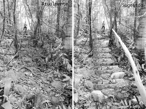 Sugest&atilde;o de instala&ccedil;&atilde;o
de degraus na trilha