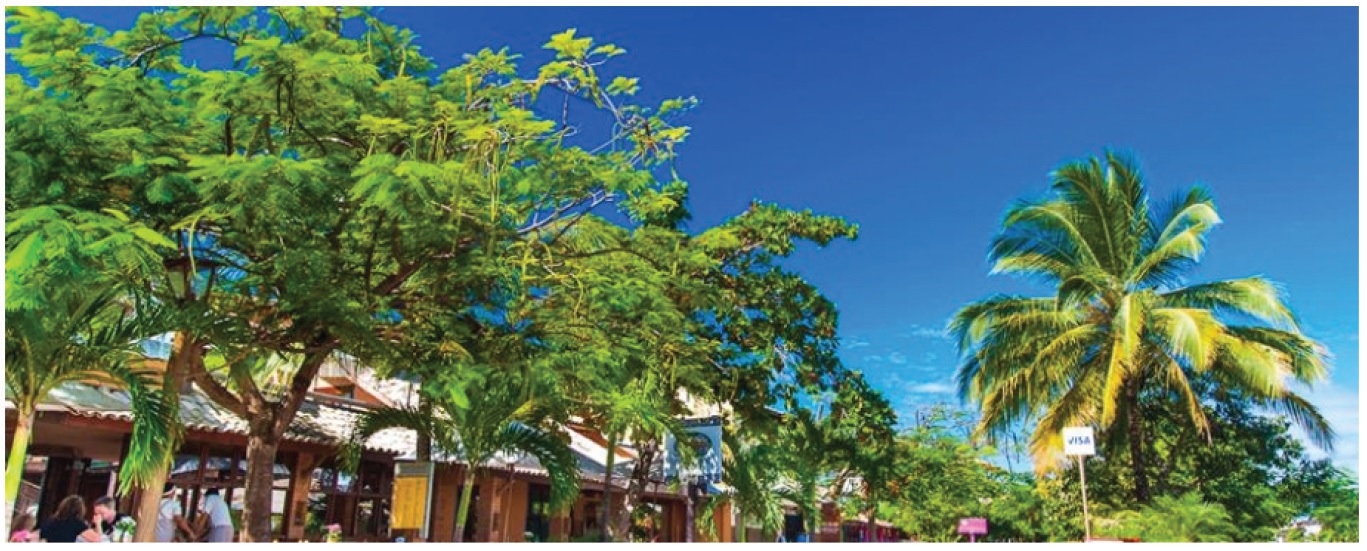 Arboriza��o urbana