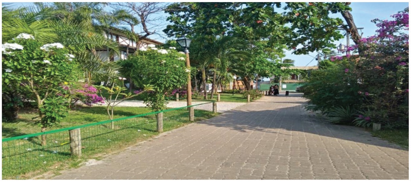 Vegeta��o urbana planejada, paisagismo