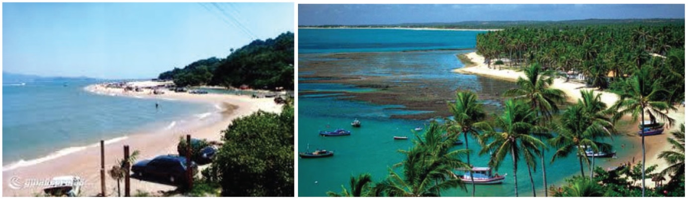 Vegeta��o natural no entorno da vila