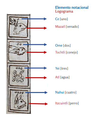 Cuatro signos del calendario mexica, MS 1628, f. 98r