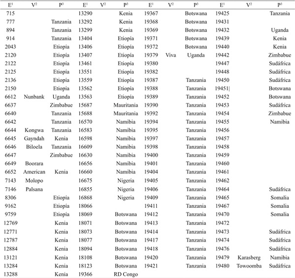 Datos de origen de los ecotipos y variedades de zacate buffel (Pennisetum ciliare), utilizados para la caracterizaci&oacute;n.