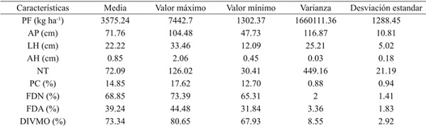 Media, valor m&aacute;ximo y m&iacute;nimo, varianza y desviaci&oacute;n est&aacute;ndar de la colecci&oacute;n de buffel (Pennisetum ciliare). 