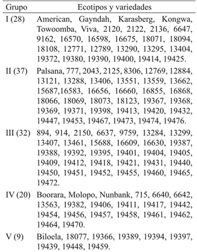 Grupos, n&uacute;mero de ecotipos y variedades obtenidas del an&aacute;lisis de agrupamiento.