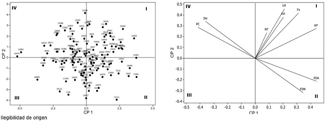 Distribuci&oacute;n de la diversidad de 126 ecotipos de zacate buffel (Pennisetum ciliare) con nueve variables en funci&oacute;n de los dos primeros componentes principales. PF= producci&oacute;n de forraje; AP= altura de planta; NT= n&uacute;mero de tallos; LH= largo de hoja; AH= ancho de hoja; PC= prote&iacute;na cruda; FDN= fibra detergente neutro; FDA= fibra detergente acida; DIVMO=digestibilidad in vivo de la materia org&aacute;nica. 